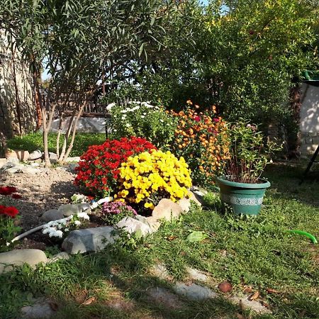 Old House Apartment With Garden Area Mtsʼkhetʼa Exterior foto